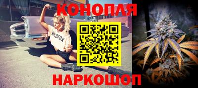 молекула духа Пугачёв