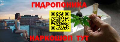 молекула духа Пугачёв