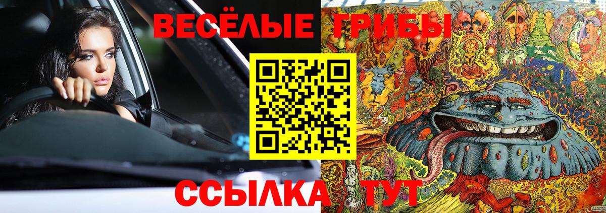Белореченск  наркошоп  Вход с VPN  Псилоцибиновые грибы мицелий 