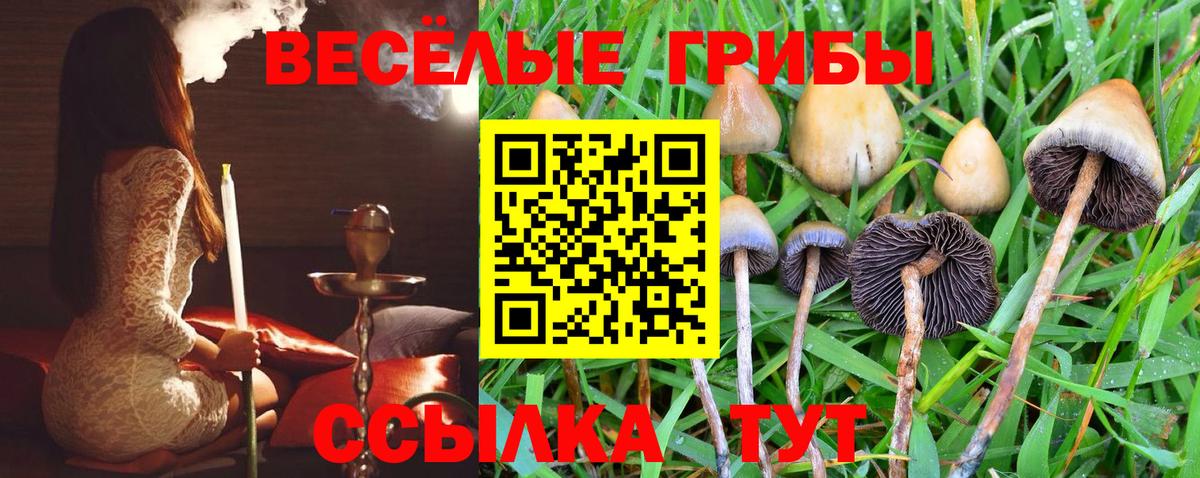 Галлюциногенные грибы ЛСД Белореченск