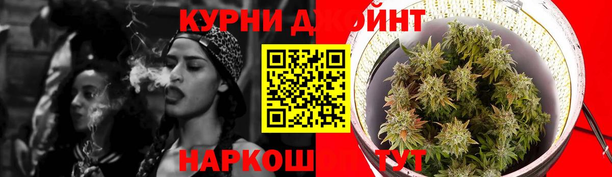 Бошки марихуана план Белореченск